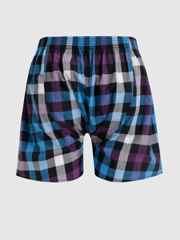 Horsefeathers Horsefeathers Sonny blau karierte Shorts