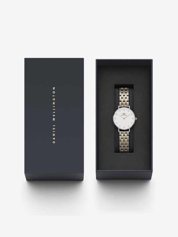 Daniel Wellington Damenuhr in Silber Daniel Wellington PETITE LUMINE