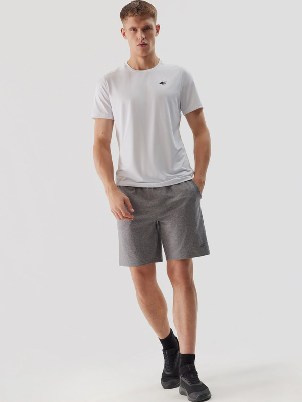 4F Schnell trocknende Herren-Sportshorts 4F