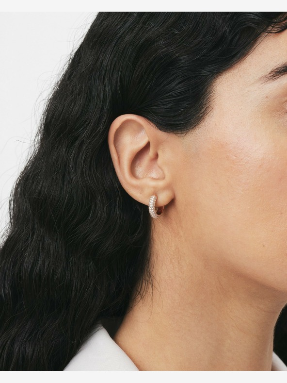 Daniel Wellington Damen Roségold Stahlohrringe Ringe Daniel Wellington