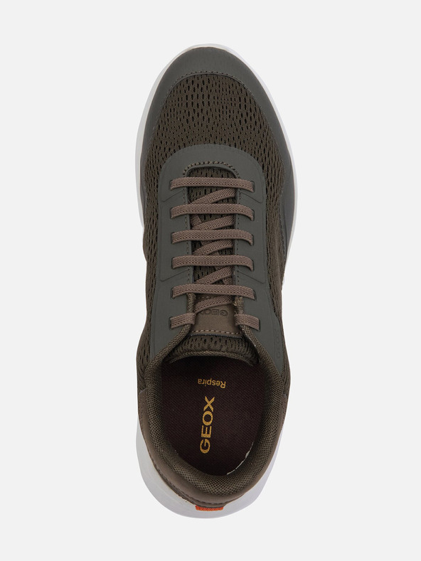 Geox Khaki Herren Turnschuhe Geox Klaiver