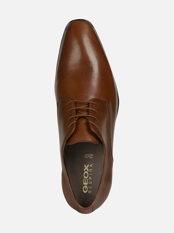 Geox Dunkelbraun Herren Geox High Life Party Schuhe