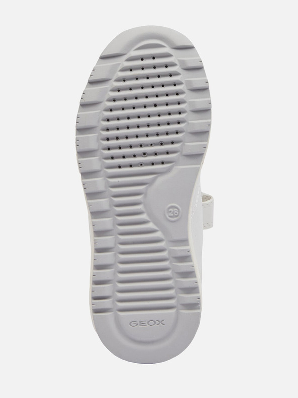 Geox Weiß Jungen Geox Alben Turnschuhe