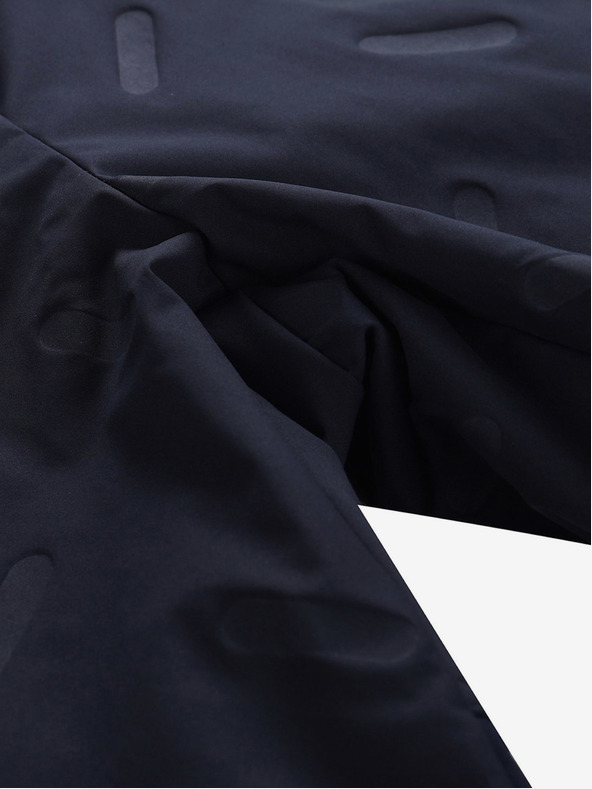 ALPINE PRO Herren Dwr-Shorts ALPINE PRO GINAR blau