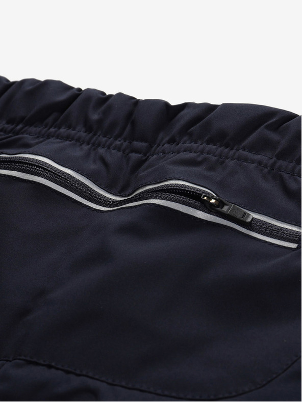 ALPINE PRO Herren Dwr-Shorts ALPINE PRO GINAR blau