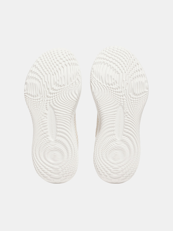 Under Armour Under Armour UA W Dynamic 2 Schuhe für Frauen