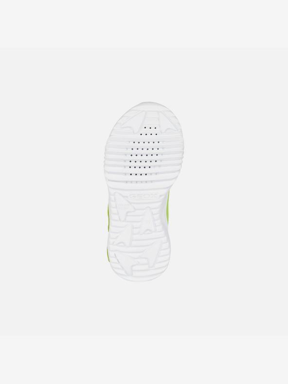 Geox Hellgrün Jungen Turnschuhe Geox Assister