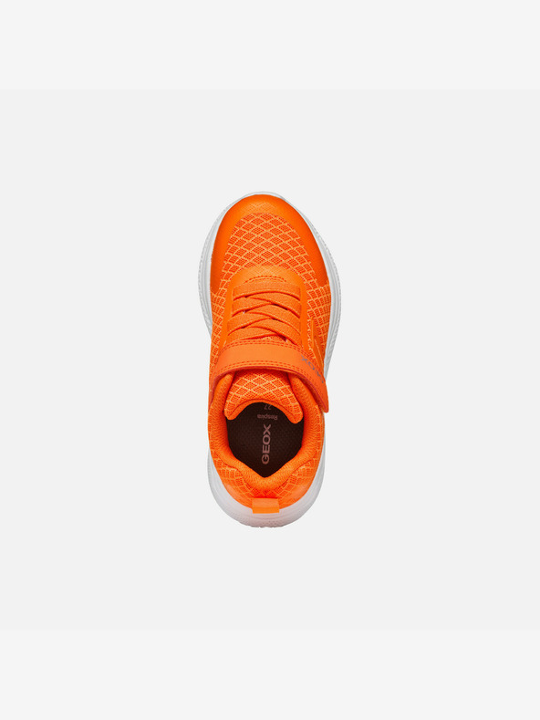 Geox Orangefarbene Geox Sprintye Turnschuhe für Jungen