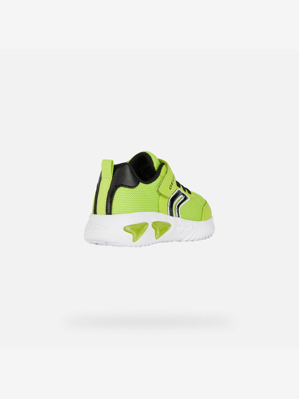 Geox Hellgrün Jungen Turnschuhe Geox Assister
