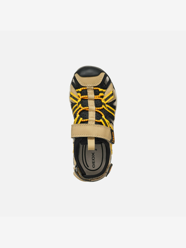 Geox Beige Geox Borealis Sandalen für Jungen