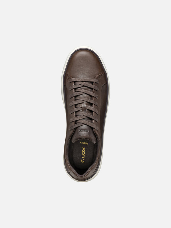 Geox Braun Herren Geox Zackerty Turnschuhe