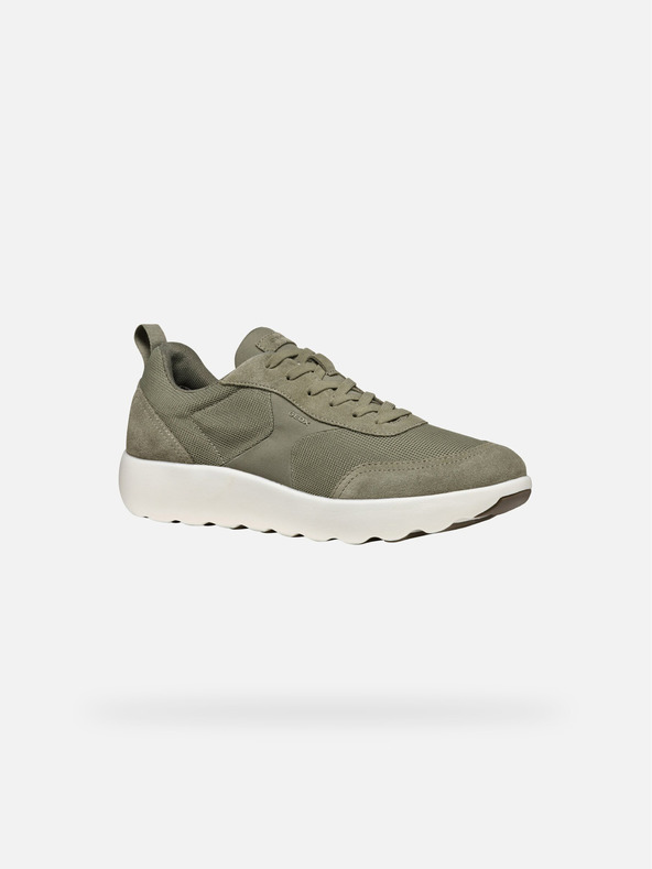 Geox Hellgrün Herren Turnschuhe Geox Xtors