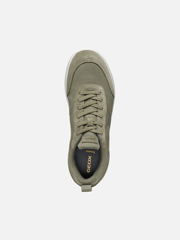 Geox Hellgrün Herren Turnschuhe Geox Xtors