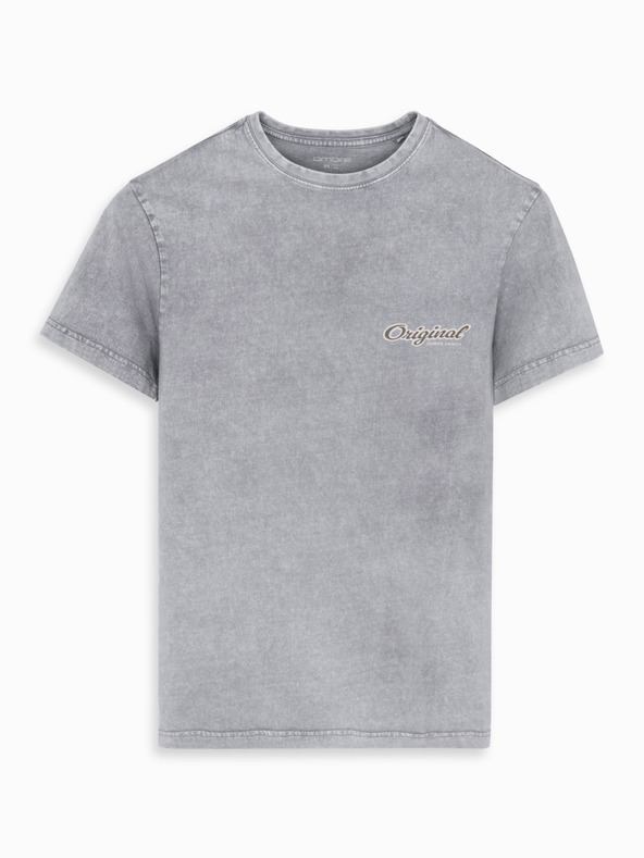 Ombre Clothing Baumwoll-T-Shirt mit Druck auf Brust und Rücken - grau