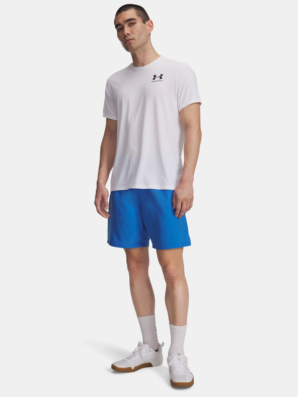 Under Armour Herren Under Armour UA Tech Woven Wordmark Short-BLU