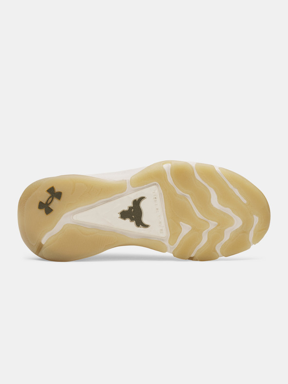 Under Armour Damen Schuhe Under Armour UA W Project Rock 8-BRN