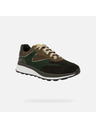 Geox Grüne Herren-Sneaker Geox Spherica Actif X1