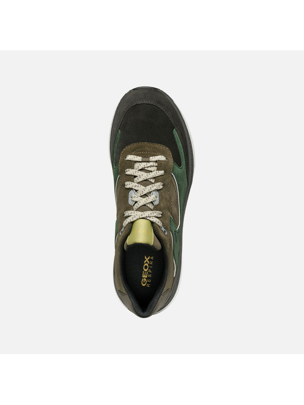 Geox Grüne Herren-Sneaker Geox Spherica Actif X1