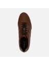 Geox Braun Herren Geox Wells Turnschuhe