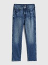 GAP Slim High Rise Vintage Washwell Jeans GAP