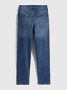 GAP Slim High Rise Vintage Washwell Jeans GAP