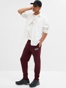 GAP Herren Sweatpants mit Fleece und Logo GAP