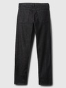 GAP Herren GapFlex Straight Jeans GAP