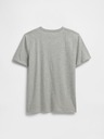 GAP Teen T-Shirt 100% organic cotton GAP