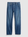 GAP Original-Straight-Jeans Button Fly '90s GAP