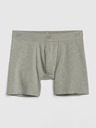 GAP Boxershorts GAP
