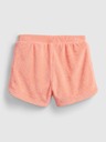 GAP Baby Shorts GAP