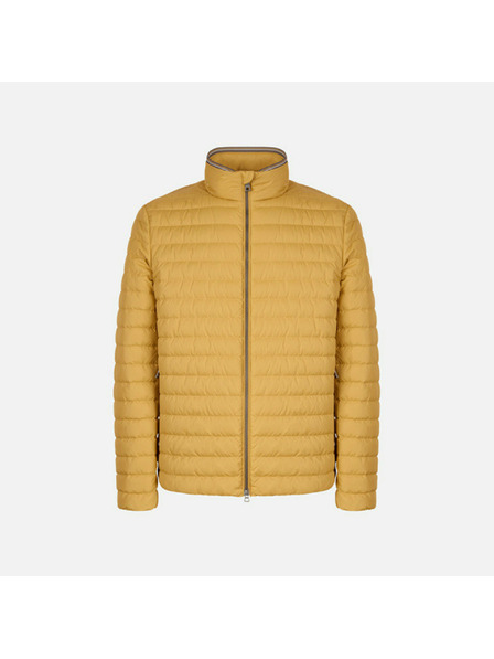 Geox Gelbe Herren-Daunenjacke Geox Warrens