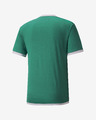 Puma TeamLIGA T-Shirt