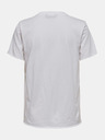 ONLY Amanda T-Shirt
