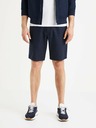 Celio Tozabm Shorts