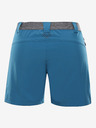 ALPINE PRO Zamba Shorts