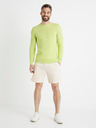 Celio Donewshort Shorts