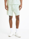 Celio Doflower Shorts