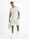 Celio Doflower Shorts