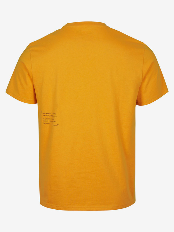 O'Neill Orange Herren O'Neill FUTURE SURF T-SHIRT