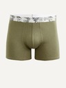 Celio Biarritz1 Boxershorts