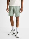 Celio Bochinobm Shorts