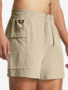 Under Armour UA Trial Run 5'' Shorts