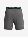 Under Armour Herren Under Armour UA Vanish Woven 6in Shorts