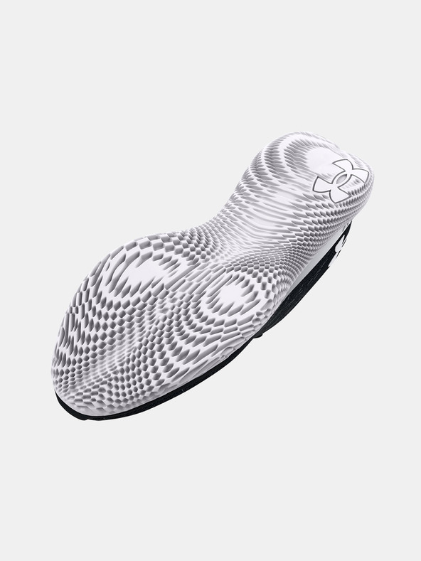 Under Armour Damen Schuhe Under Armour UA W FLOW Velociti Wind 2