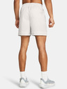 Under Armour Herren Shorts Under Armour Curry Woven Short