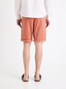 Celio Bochinobm Shorts