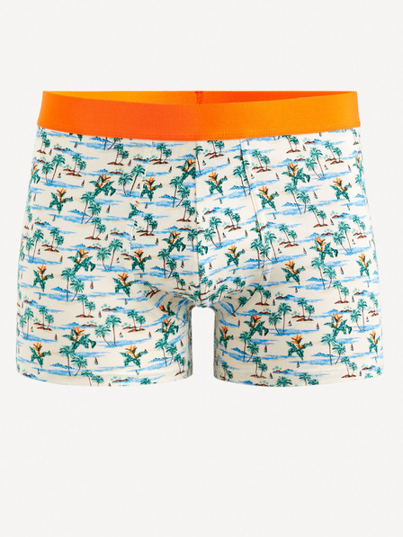 Celio Giboparadi Boxers