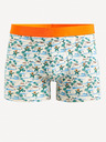 Celio Giboparadi Boxers