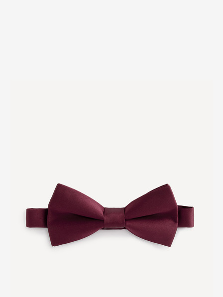 Celio Bibow2 Fliege